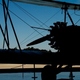 Illustration for article titled Shooting Challenge Silhouettes Gallery 1